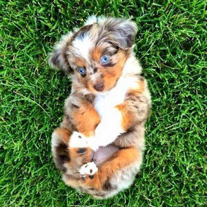 Meet your Posher, Russell